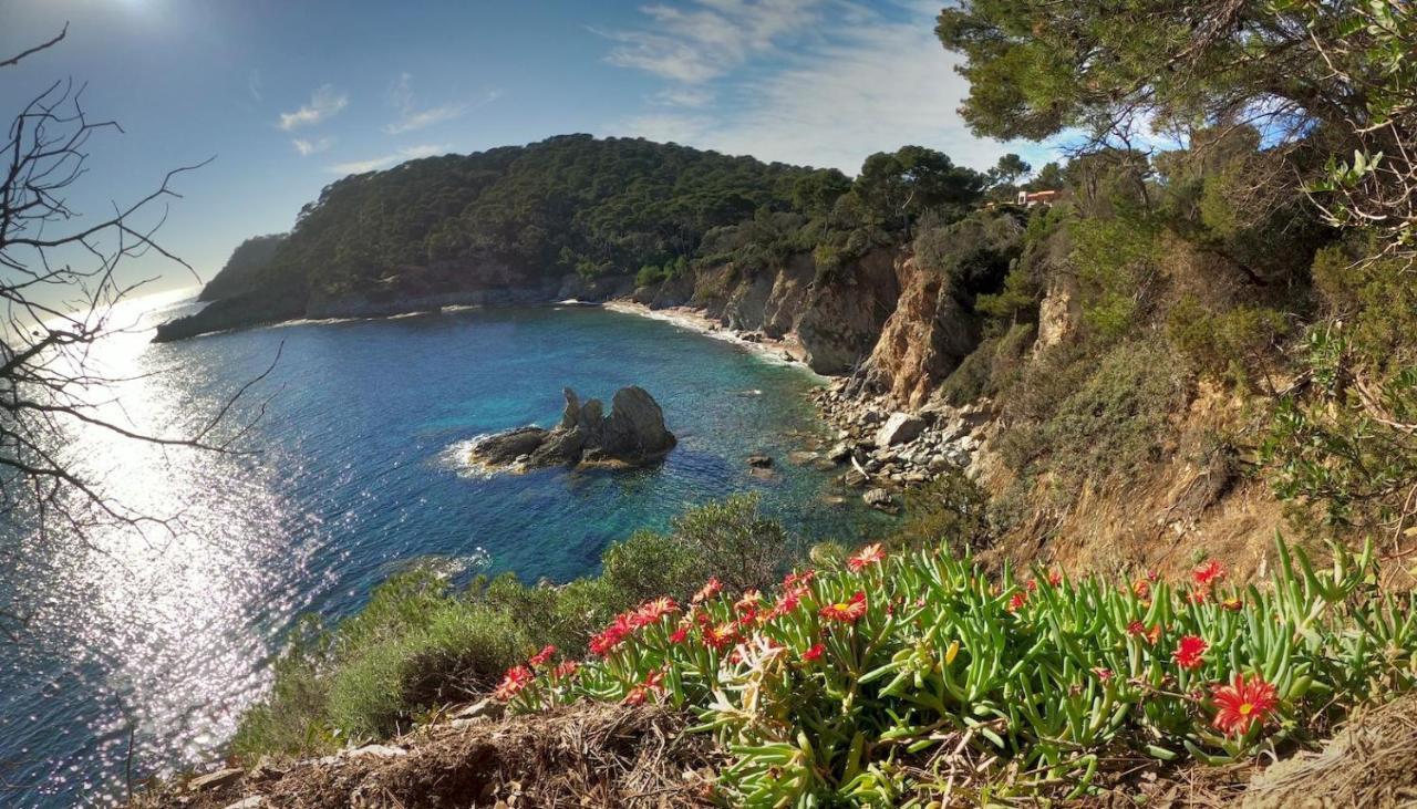 Studio Proche Port Et Plages, Piscine 耶尔 外观 照片